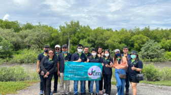 jled plant mangrove trees at Chonburi Province