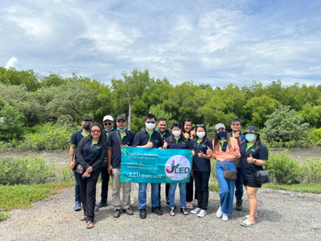 jled plant mangrove trees at Chonburi Province
